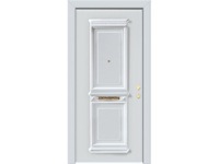 Secure door KRONOS